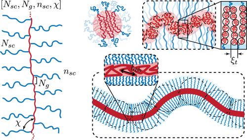 Molecular Structure of Foldable Bottlebrush Polymers in Melts