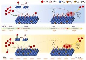 Uranium Immobilization via Sulfur-Modified Fe0 Nanoparticles: U(VI) Trapping Kinetics and Long-Term Stability Evaluation