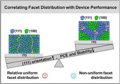 Unveiling the Importance of Nondominant Facets in (111)-Dominated Perovskite Films