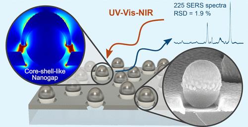 Nanogap-Engineered Core–Shell-Like Nanostructures for Comprehensive SERS Analysis