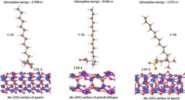 An ampholytic surfactant of flotation separating quartz from silicate minerals: Insights from experiments and theory