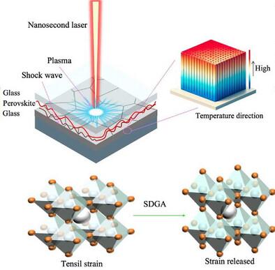 Precision Strain Engineering in Perovskite Optoelectronics via Shock-Driven Gradient Annealing for Enhanced Stability and Light Response