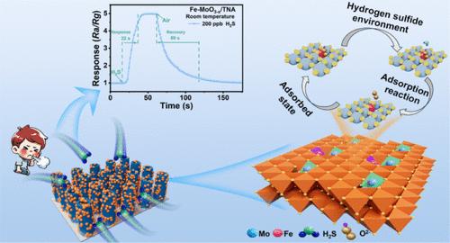 Integrating Vacancies and Defect Levels in Heterojunctions to Synergistically Enhance the Performance of H2S Chemiresistors for Periodontitis Diagnosis