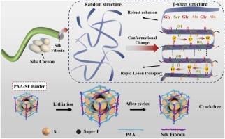 Silk Fibroin-Induced Conformational Change for Robust Silicon Anodes