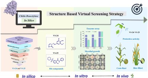 Discovery of Novel Inhibitors Targeting Fungal Chitin Deacetylase via Virtual Screening for Plant Disease Control
