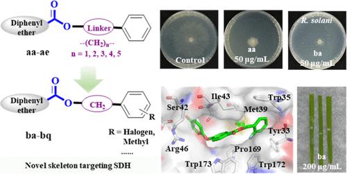 Novel Diphenyl Ether Carbonyl Ester Fragment as a Promising Skeleton Targeting Succinate Dehydrogenase