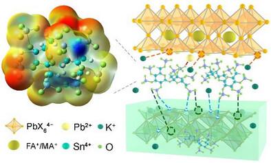 A Versatile Bridging Molecule Managed the Buried SnO2/Perovskite Interface for Efficient and Stable Perovskite Solar Cells