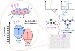 Application and mechanism of Co3O4/Co(OH)2 heterojunctions as matrices for small molecules detection by MALDI-TOF MS