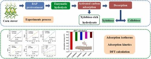 Comprehensive study of xylobiose and cellobiose separation from corn stover enzymatic hydrolysate by adsorption
