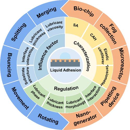 Liquid Adhesion Regulation on Bioinspired Slippery Surfaces: From Theory to Application