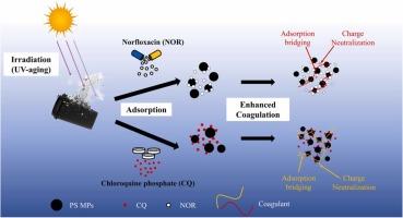Dynamic process of UV-aging polystyrene microplastics, simultaneous adsorption of drugs, and subsequently coagulative removal together