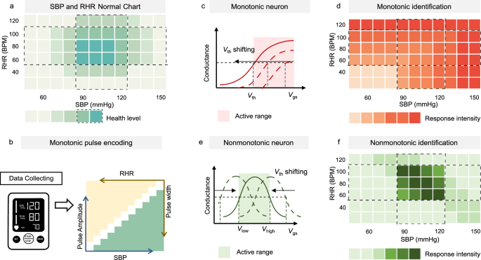 Artificial non-monotonic neurons based on nonvolatile anti-ambipolar transistors
