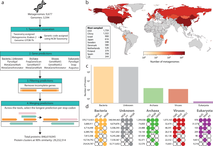 Lineage-specific microbial protein prediction enables large-scale exploration of protein ecology within the human gut
