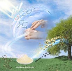 Targeted phenolation and rapid extraction of light-colored lignin from pine using nucleophilic reagent in combination with acid hydrotrope p-TsOH