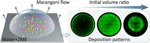 Uniform Deposition of Particles in Large Scale by Drying of Binary Droplets