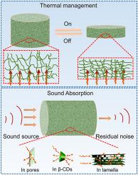 Elastic and degradable cyclodextrin nanofibrous aerogel: Enhanced dynamic thermal management and broadband sound absorption