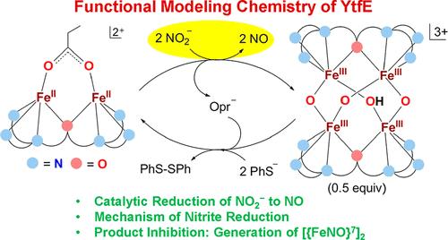 Functional Nonheme Diiron(II) Complexes Catalyze the Direct Reduction of Nitrite to Nitric Oxide in Relevance to the Diiron Protein YtfE