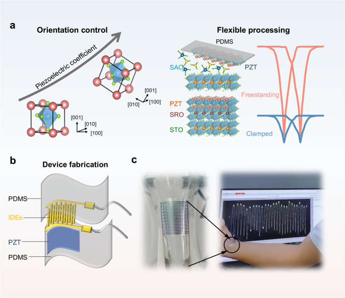 Ultrahigh-power-density flexible piezoelectric energy harvester based on freestanding ferroelectric oxide thin films