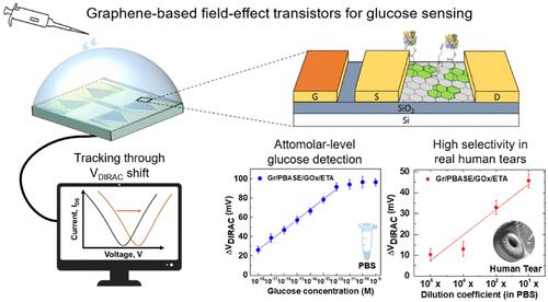 Graphene-Based Glucose Sensors with an Attomolar Limit of Detection.