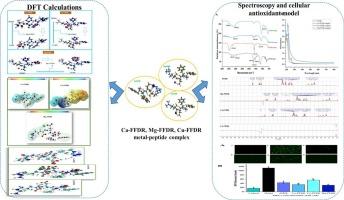 Binding mechanism of metal ions (Ca2+, Cu2+ and Mg2+) with tetrapeptide FFDR: A combined experimental and quantum chemistry approach