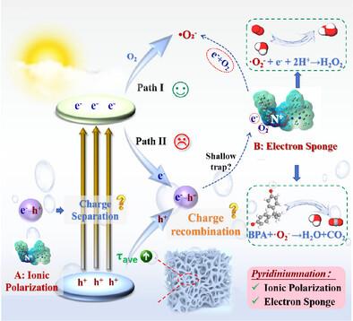 Coupling Ionic Polarization, Electron Sponge Effect by One-Pot Hypercrosslinking, Pyridiniumnation of Photosensitizer-Based Porous Organic Polymers for Enhancing Advanced Oxidation Process