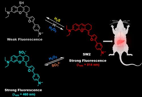 Simple Strategy to Develop Multifunctional NIR Fluorescent Probes for Simultaneous Identification of H2S and SO2