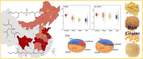 Nationwide investigation on organophosphate esters and di-esters in raw grains from China: Distribution, sources, and implications for risk assessment