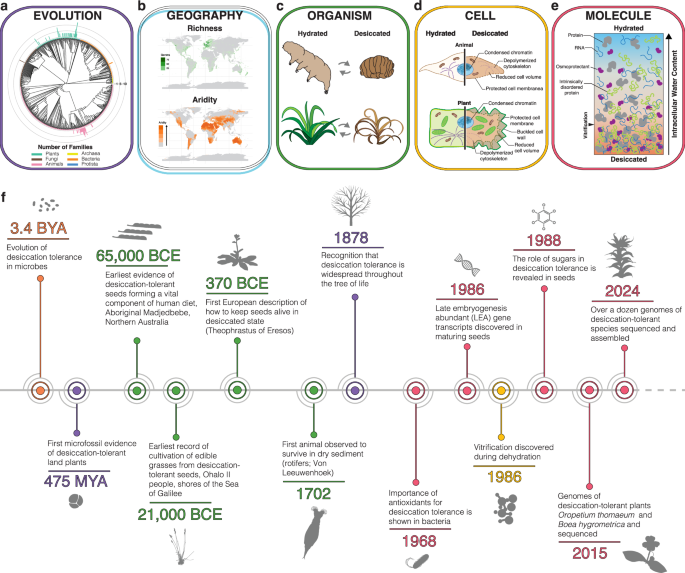 Life on the dry side: a roadmap to understanding desiccation tolerance and accelerating translational applications