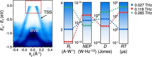 Quasi-One-Dimensional Ta2PdSe6 with Strong Topological Surface States for High-Performance and Polarization-Sensitive Terahertz Detection