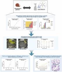 Developmental Toxicity and Environmental Risk Assessment of Chlorothalonil: A Comprehensive Study Using Biomphalaria as a Model Gastropod