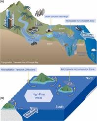 Estuarine Plastic Dynamics: Analyzing Export Patterns from a Typical Semi-Enclosed Bay in Asia