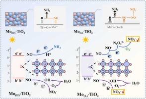 Low-valent molybdenum sites as active hydrogen traps in TiO2 for facilitating high-selectivity photocatalytic nitrate synthesis from NO