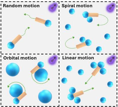 Tailoring the Propulsion Dynamics of Rod-Shaped Colloidal Micromotors Driven by Passive Particles