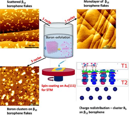 Evolution of Atomistic Boron Clusters on Borophene Monolayers on Au(111)