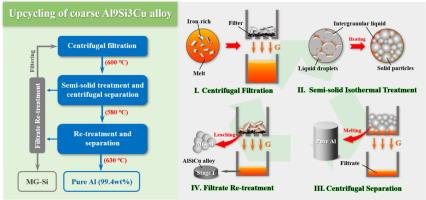 Green extraction of pure aluminum from coarse AlSiCu alloys via centrifugal separation under isothermal semi-solid conditions: A novel upcycling strategy
