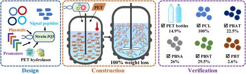 Engineering a thermophilic Bacillus thermoamylovorans for degradation of polyethylene terephthalate waste