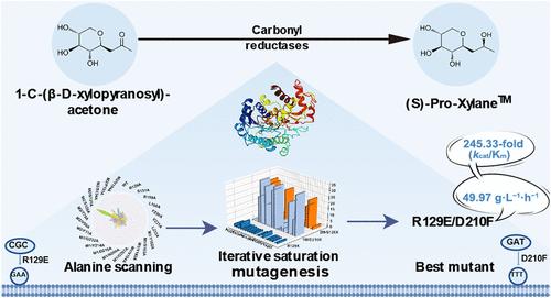 Engineering a Carbonyl Reductase for High-Efficiency Synthesis of Optically Pure (S)-Pro-Xylane: An Alternative Synthetic Route