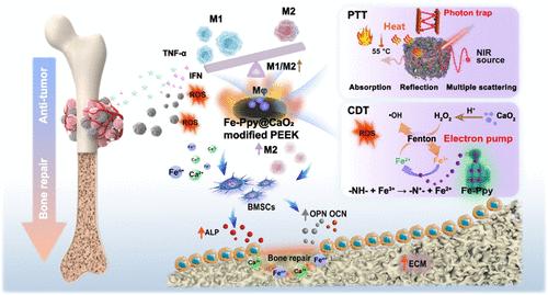 Electron Pump and Photon Trap Effect-Derived Selective Antitumor of Fe-Ppy@CaO2-Modified Polyetheretherketone for Bone Tumor Therapy