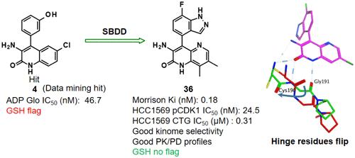 Discovery of Naphthyridinone Derivatives as Selective and Potent PKMYT1 Inhibitors with Antitumor Efficacy