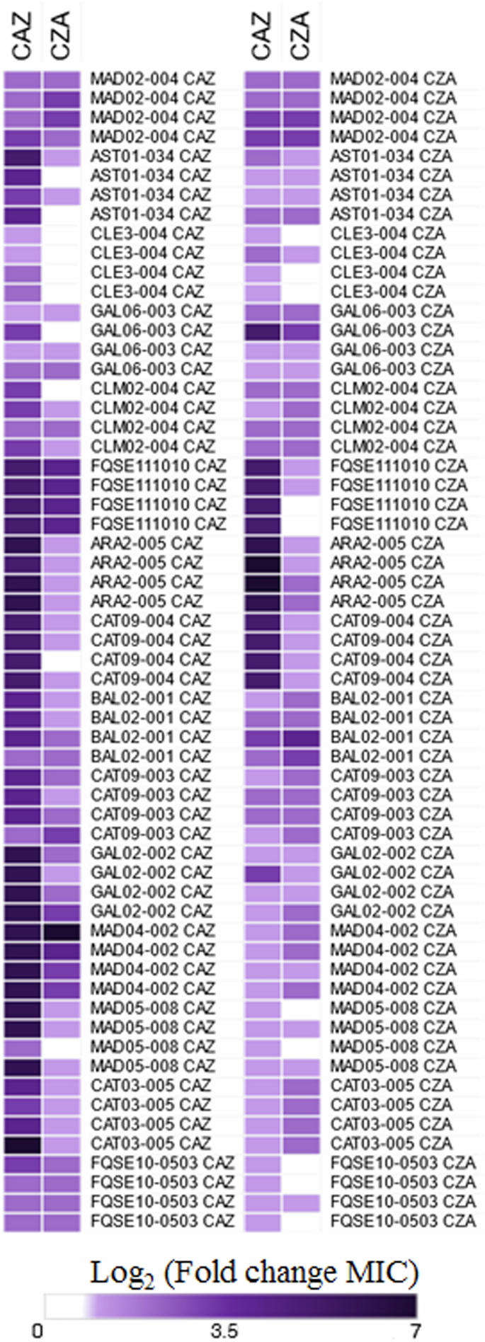 Ceftazidime-avibactam use selects multidrug-resistance and prevents designing collateral sensitivity-based therapies against Pseudomonas aeruginosa