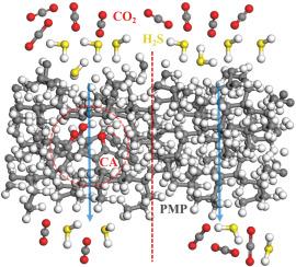 Molecular simulations of Poly-4-methyl-1-pentene (PMP) and PMP/Calix[4]arene (PMP/CA) for H2S/CO2 separation