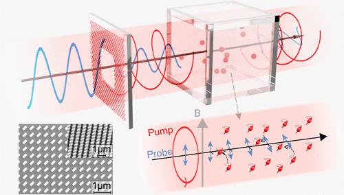 Space-Variant Polarization Distribution Mitigates AC-Stark Shifts in a SERF Atomic Magnetometer