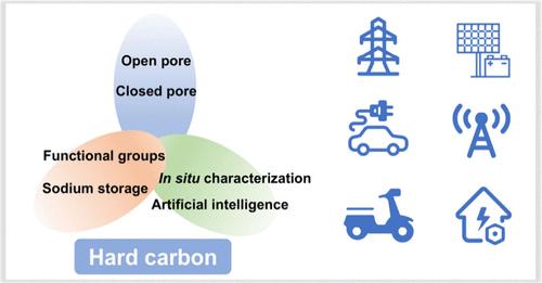 Bridging Structure and Performance: Decoding Sodium Storage in Hard Carbon Anodes