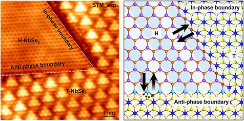 Nanoscale Polymorph Engineering of Metal-Correlated Insulator Junctions in Monolayer NbSe2