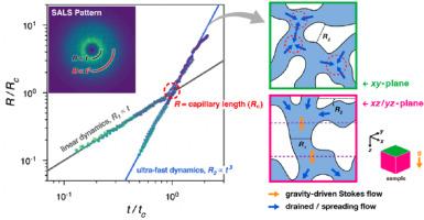 Ultra-fast coarsening dynamics in late-stage spinodal decomposition of critical binary polymer mixtures