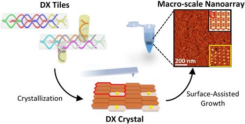 Vertical DNA Nanostructure Arrays: Facilitating Functionalization on Macro-Scale Surfaces