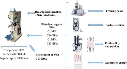 A Novel Ether Amine Reagent for the Low-Temperature Flotation Separation of KCl