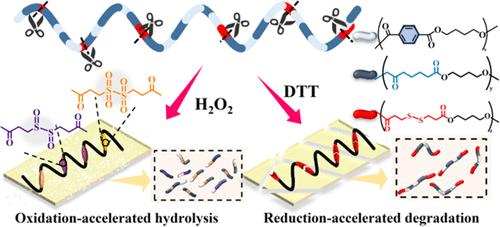 Disulfide-Driven On-Demand Degradation of the PBAT Copolymer: Stable Comprehensive Performance, Long-Term Storage, and Redox-Induced Degradation