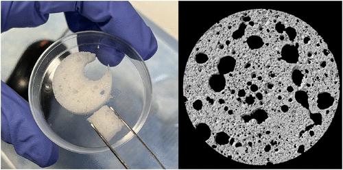 Complex Conductivity Spectra of Nonporous and Porous Hydrogels