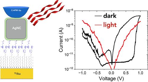 Dynamic Switching of Ferrocene and Plasmonic Interactions in Au/Self-Assembled Monolayer/Single Ag Nanocube Molecular Junctions